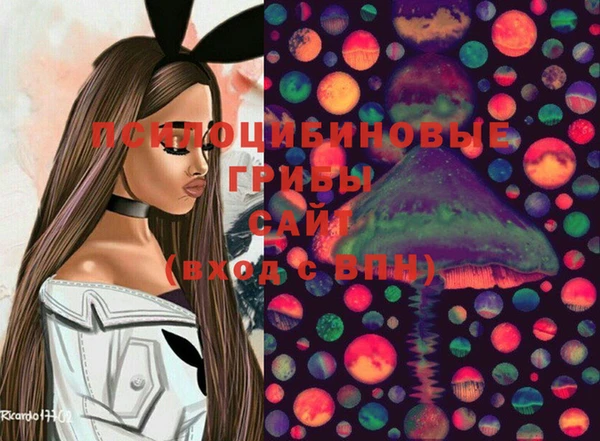 PSILOCYBIN Абинск
