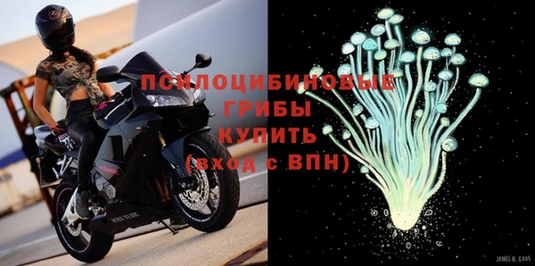 PSILOCYBIN Абинск