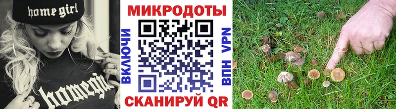 Галлюциногенные грибы Magic Shrooms купить наркотик Лиски